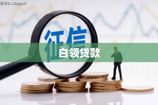 秀水白领贷款