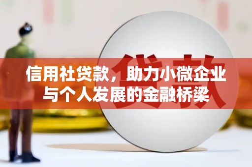 秀水信用社贷款，助力小微企业与个人发展的金融桥梁