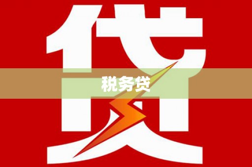 秀水税务贷