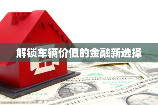 秀水解锁车辆价值的金融新选择