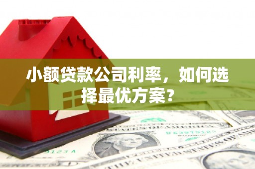 秀水小额贷款公司利率，如何选择最优方案？