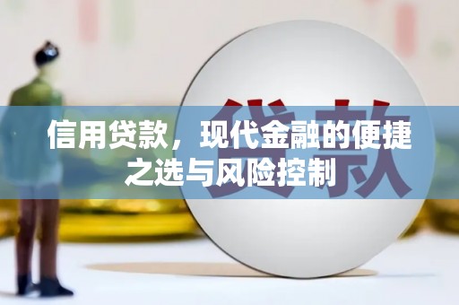 秀水信用贷款，现代金融的便捷之选与风险控制