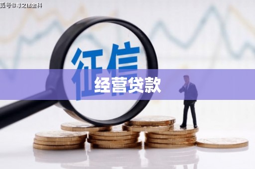 秀水经营贷款
