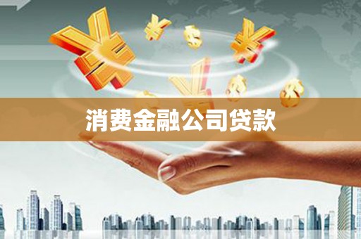 秀水消费金融公司贷款