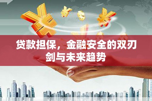 秀水贷款担保，金融安全的双刃剑与未来趋势