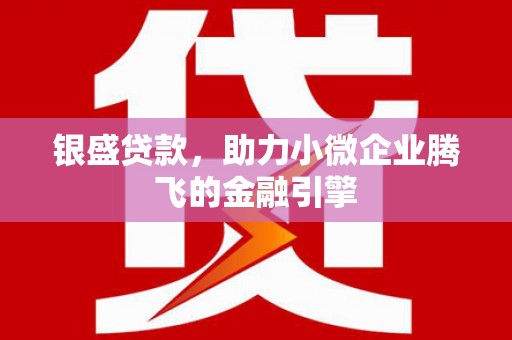 秀水银盛贷款，助力小微企业腾飞的金融引擎