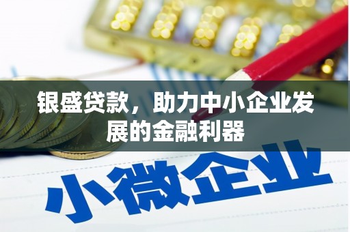 秀水银盛贷款，助力中小企业发展的金融利器