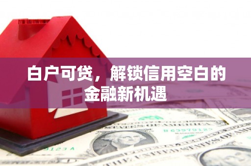 秀水白户可贷，解锁信用空白的金融新机遇