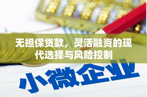 秀水无担保贷款，灵活融资的现代选择与风险控制
