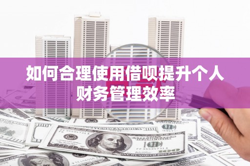 秀水如何合理使用借呗提升个人财务管理效率