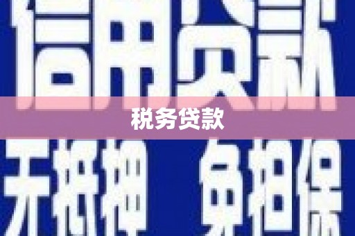 秀水税务贷款
