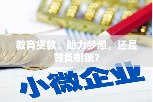 秀水教育贷款，助力梦想，还是背负枷锁？
