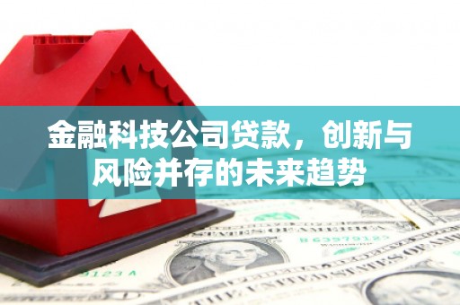 秀水金融科技公司贷款，创新与风险并存的未来趋势