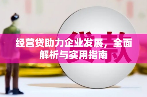 秀水经营贷助力企业发展，全面解析与实用指南