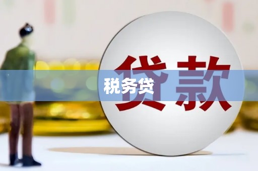 秀水税务贷