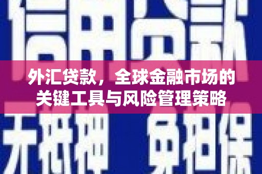 秀水外汇贷款，全球金融市场的关键工具与风险管理策略