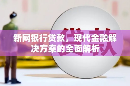 秀水新网银行贷款，现代金融解决方案的全面解析