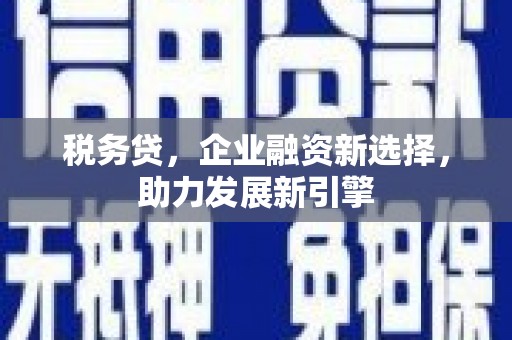 秀水税务贷，企业融资新选择，助力发展新引擎