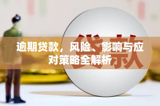 秀水逾期贷款，风险、影响与应对策略全解析