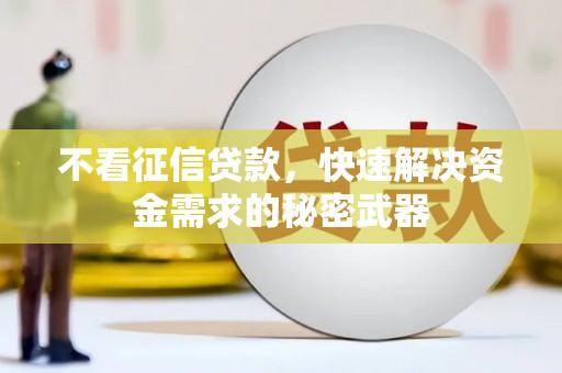 秀水不看征信贷款，快速解决资金需求的秘密武器