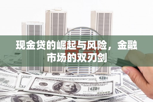 秀水现金贷的崛起与风险，金融市场的双刃剑