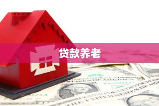 秀水贷款养老