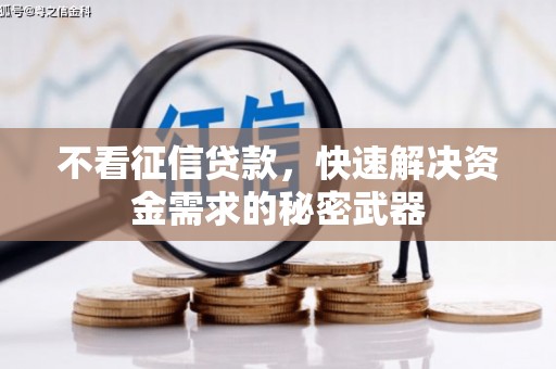 秀水不看征信贷款，快速解决资金需求的秘密武器