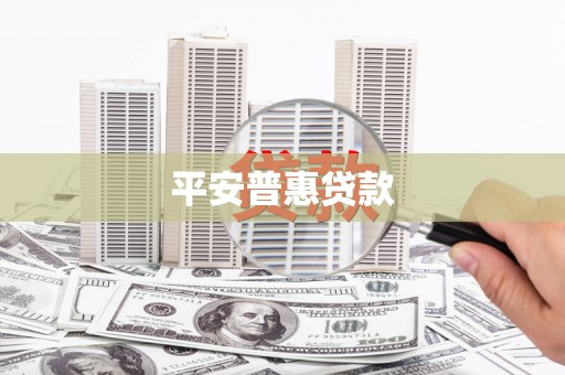 秀水平安普惠贷款