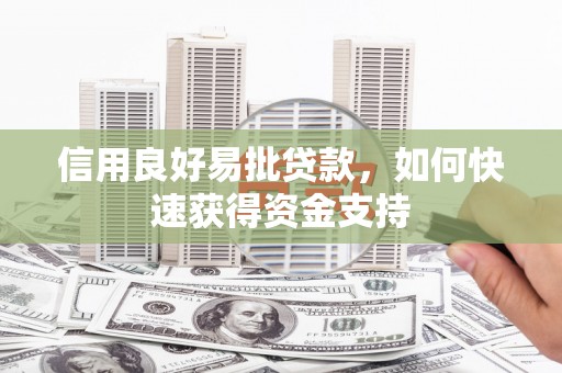 秀水信用良好易批贷款，如何快速获得资金支持