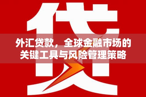 秀水外汇贷款，全球金融市场的关键工具与风险管理策略