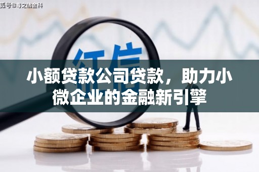 秀水小额贷款公司贷款，助力小微企业的金融新引擎