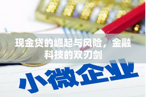 秀水现金贷的崛起与风险，金融科技的双刃剑