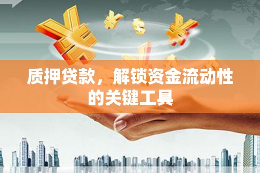 秀水质押贷款，解锁资金流动性的关键工具