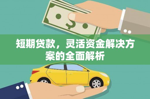 秀水短期贷款，灵活资金解决方案的全面解析