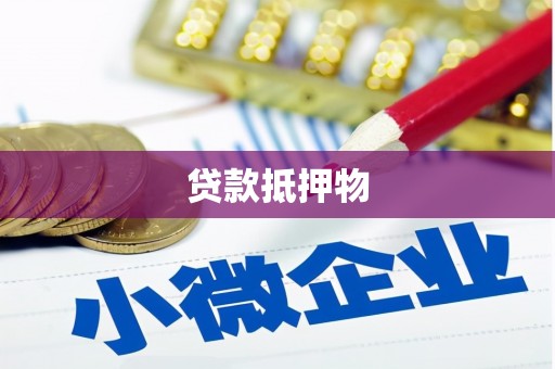 秀水贷款抵押物