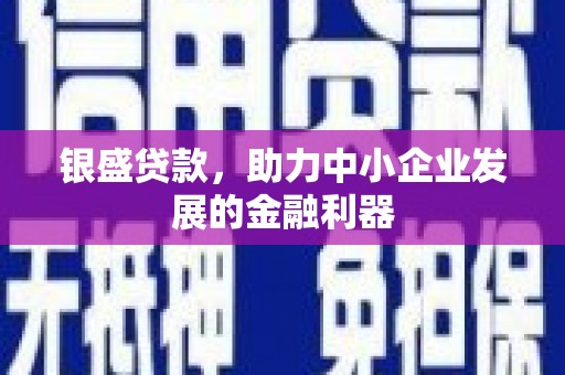 秀水银盛贷款，助力中小企业发展的金融利器
