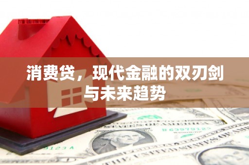 秀水消费贷，现代金融的双刃剑与未来趋势