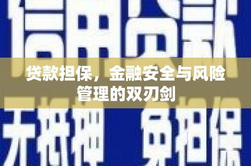 秀水贷款担保，金融安全与风险管理的双刃剑