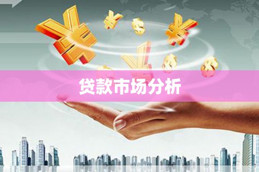 秀水贷款市场分析