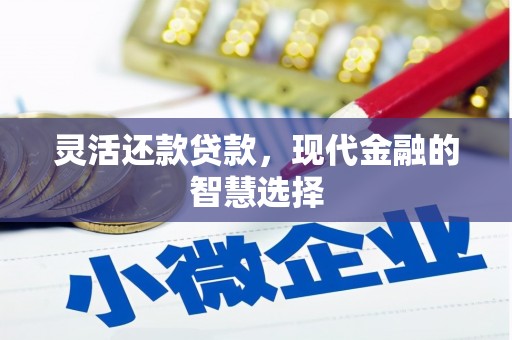 秀水灵活还款贷款，现代金融的智慧选择