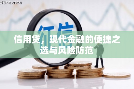 秀水信用贷，现代金融的便捷之选与风险防范