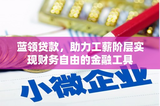 秀水蓝领贷款，助力工薪阶层实现财务自由的金融工具