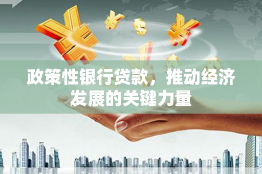 秀水政策性银行贷款，推动经济发展的关键力量