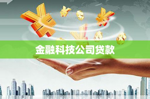 秀水金融科技公司贷款