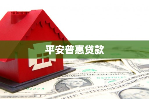 秀水平安普惠贷款