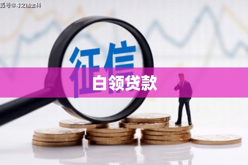 秀水白领贷款