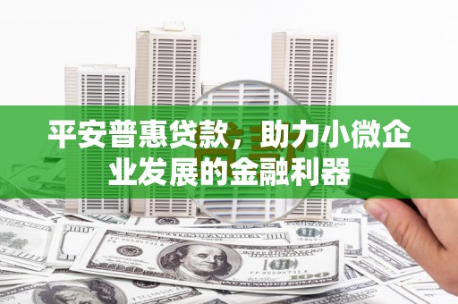 秀水平安普惠贷款，助力小微企业发展的金融利器