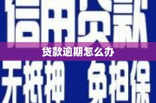 秀水贷款逾期怎么办