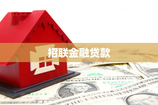 秀水招联金融贷款