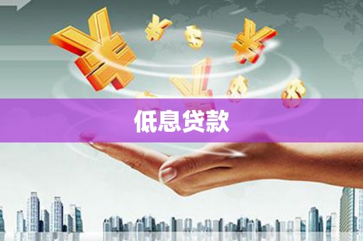 秀水低息贷款